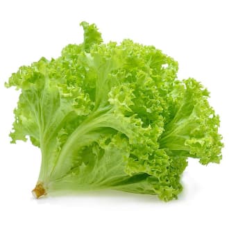 Lettuce Lollo Bionda Kuwait