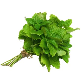 Mint Bunch Kuwait