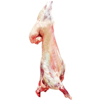 Arabic Lamb Big (Udhiya)