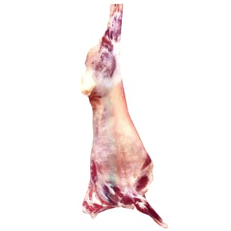 Barbari Lamb (Udhiya)
