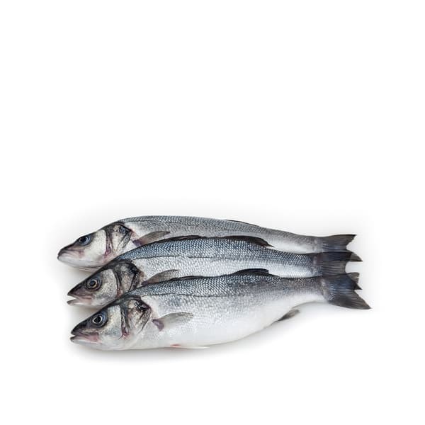 Turkish Sea Bass