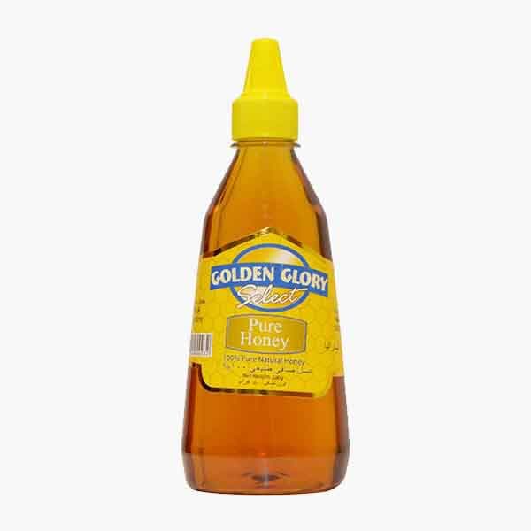 Golden Glory Squeezy Honey 500 g