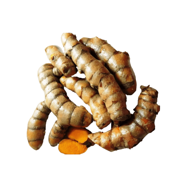 Fresh Turmeric India Air 100 g