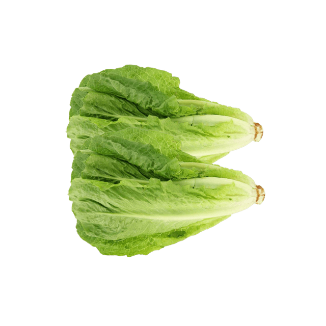 Lettuce Iran 100 g