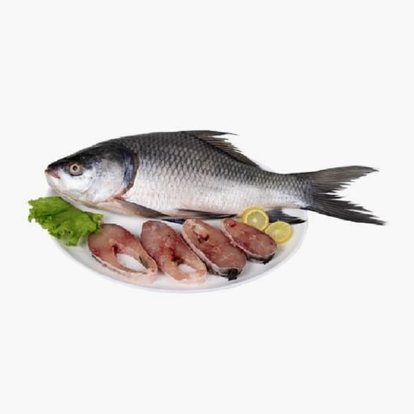 Catla Fish Pakistan 500 g