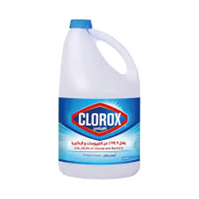 Clorox Regular Bleach Liquid 3.78 L (1 Gallon)