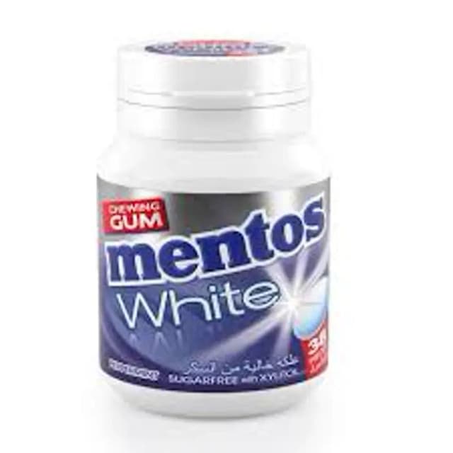 Mentos Gum Bottle Peppermint 54 g