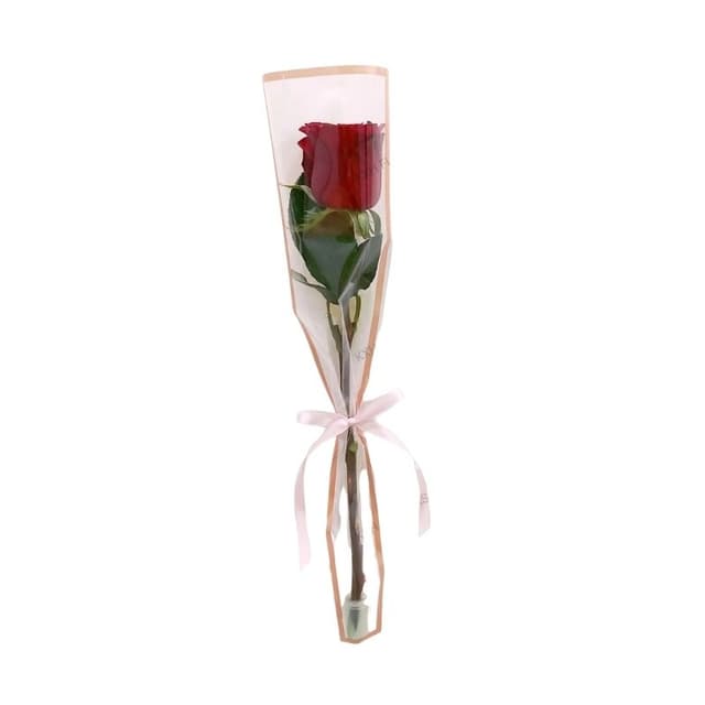 Single Wrapped Rose 10