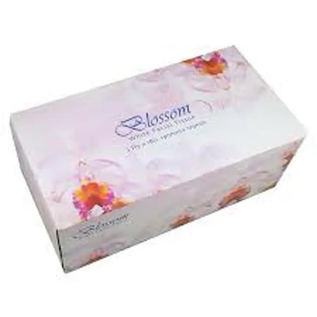 Real Facial Tissue 2ply 180 x 190mm