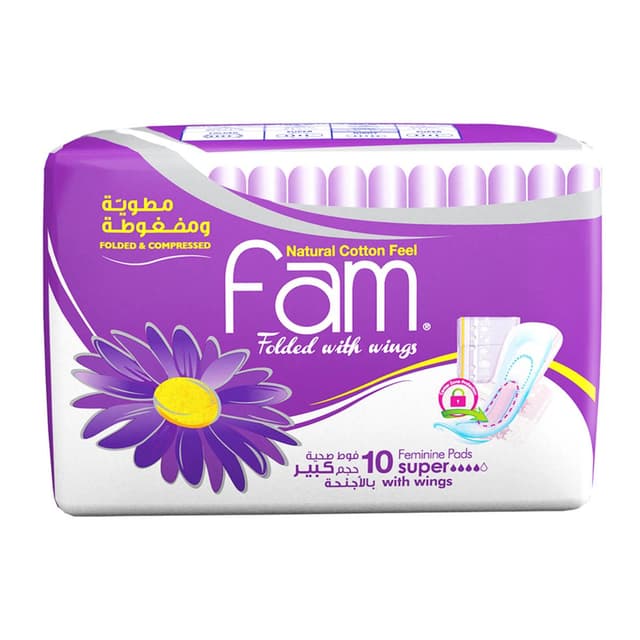 Fam Panty Liners Normal Scented 10 pads
