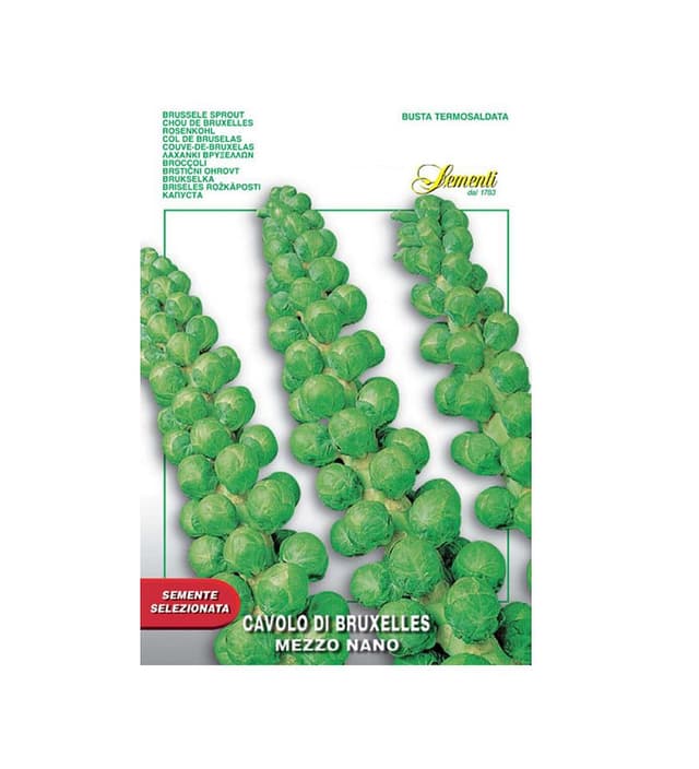 Alta Veg Cavolo Sprout Brussels M.Nano