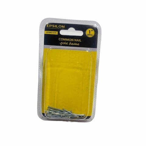 Epsilon Common Nail, 1 inch, 20 Pieces