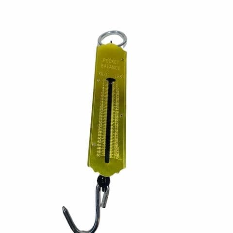 Epsilon Pocket Balance Scale Up To 50kg