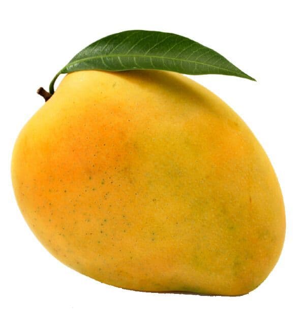 African Mangoes 500g