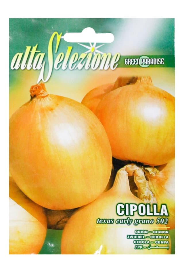 Alta Veg Onion Texas Early Grano Seeds