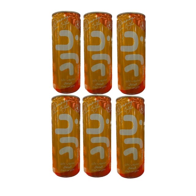 Rawdatain Bared Soft Drink Orange, 6 X 250 Ml