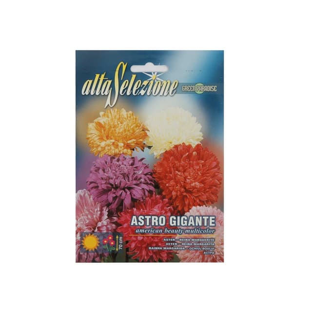 Alta Flower Aster American Seeds