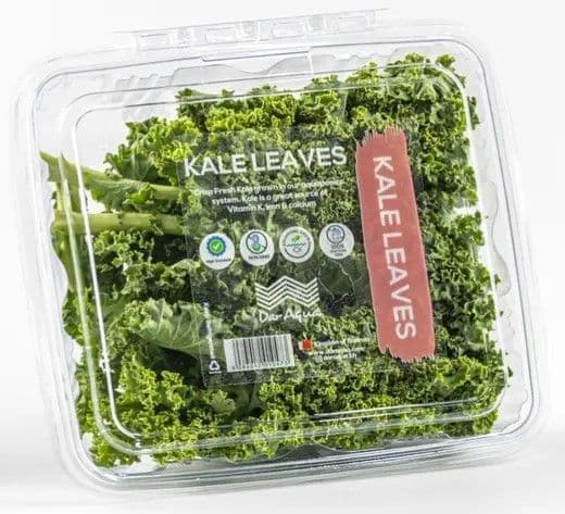 Green Kale Leaves, 1 Piece