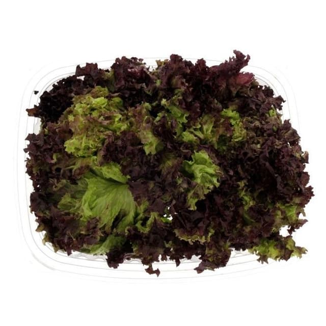 Lollo Rosso Lettuce, 200g