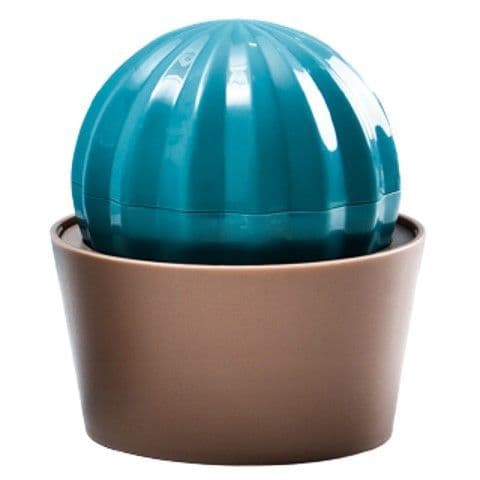 Tamimi Markets Teal Pet Groom Brush