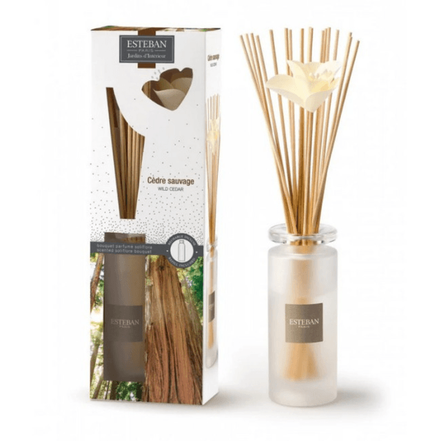 Esteban Wild Cedar Scented Bouquet, 100ml