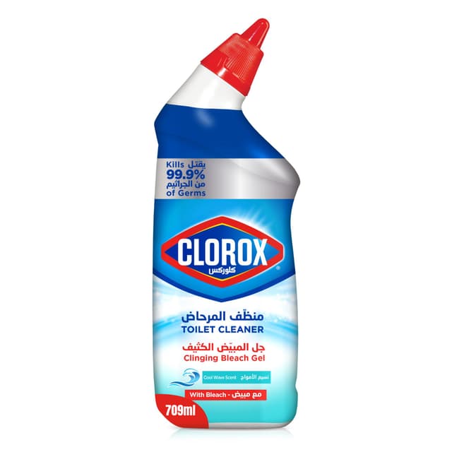 Clorox Toilet Cleaner Clinging Bleach Gel