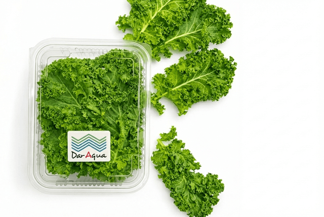 Dar Aqua Baby Kale Leaves Box