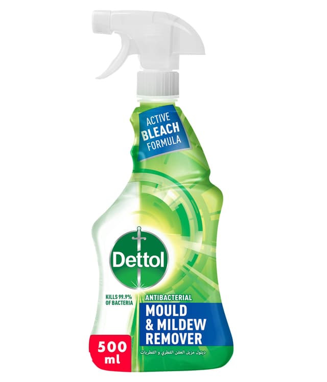 Dettol Anti-Bacterial Mould & Mildew Remover Spray Bottle