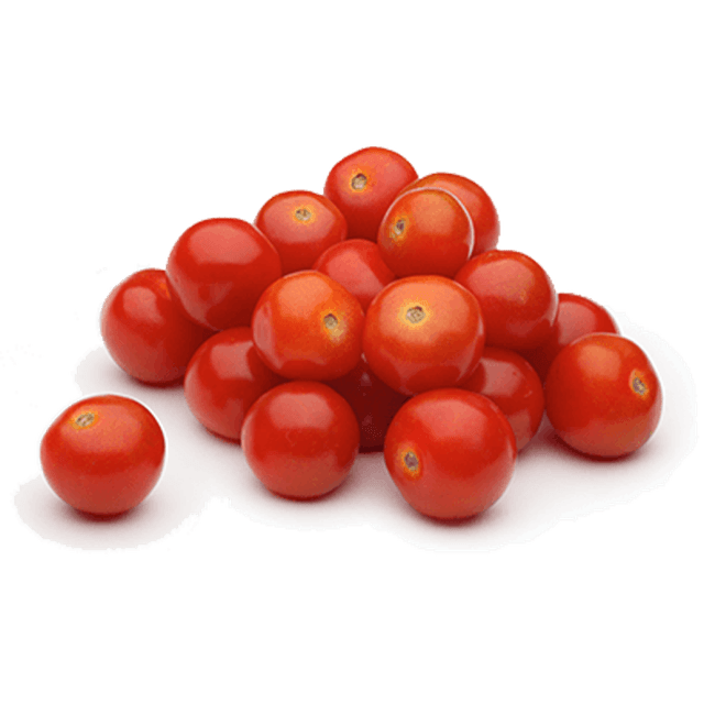 TOMMIES SANTA SHAKER TOMATO