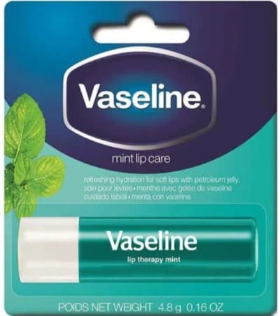VASELINE LIP CARE MINT 4.8G