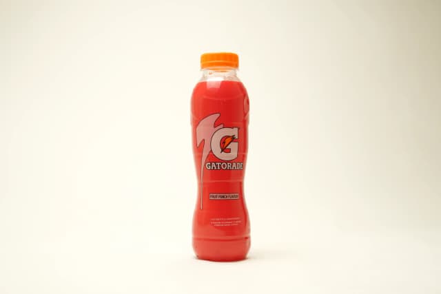 Gatorade Fruit Punch Pet 495 ml