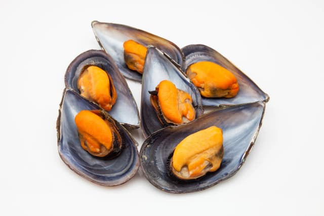 Mussel Meat Big 600 g