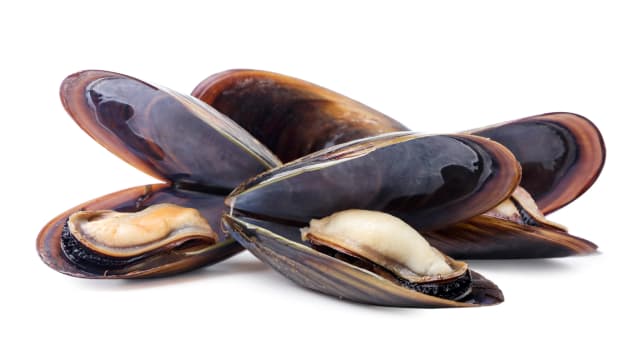 Mussel Meat Small 600 g