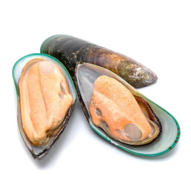 Green Mussels Import 1 kg