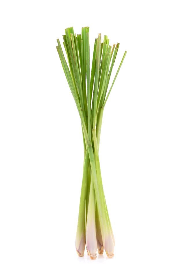 Lemon grass Kgs 100 g