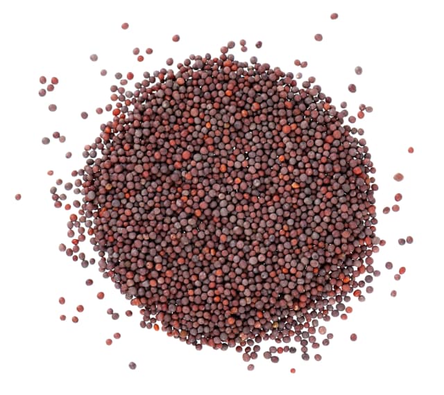 Mustard 100 g