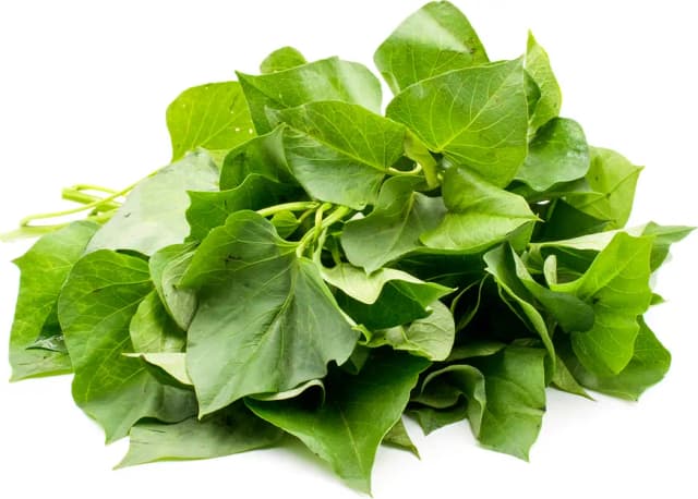 Yam/Bosla Leaves
