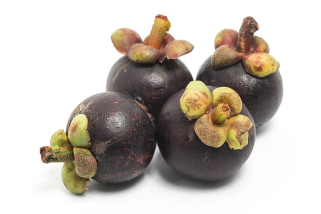 Mangosteen