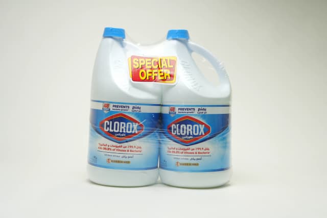 Clorox Regular 0.5 Gallon