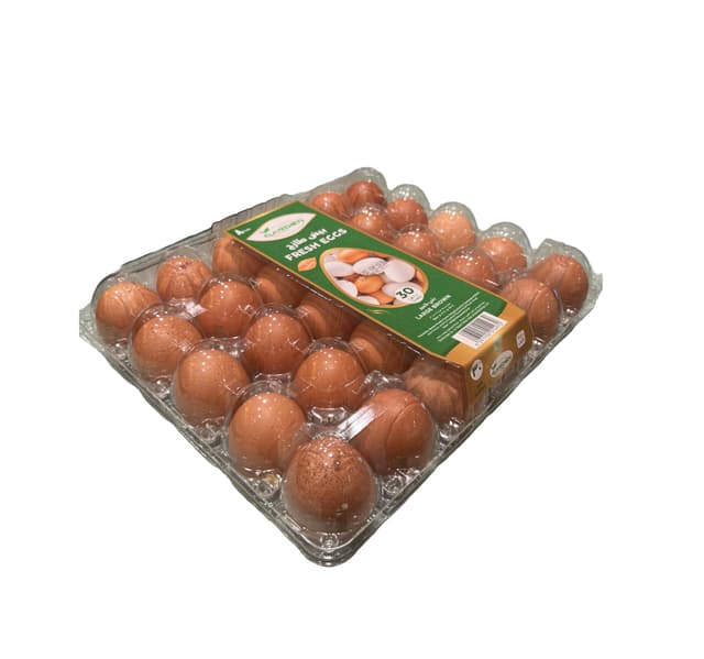 Garden Fresh Brown Eggs Large 30pcs