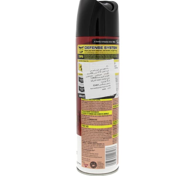Raid Ant Roach Killer 496 Gm