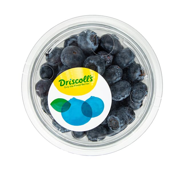 Driscolls Blueberry 500 G