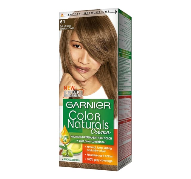 Garnier Color Naturals Creme Dark Ash Blonde 61 Value Pack 2 1 Pkt