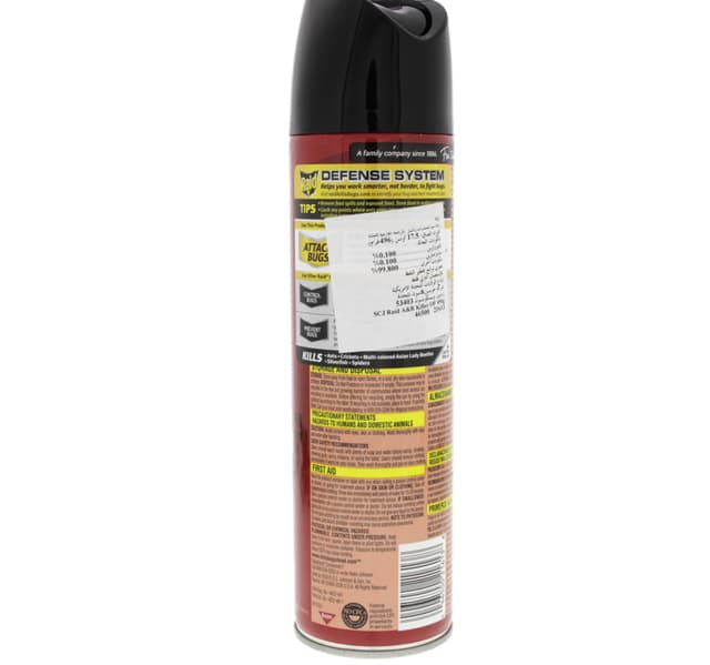 Raid Ant Roach Killer Outdoor Fresh Scent 496 Gm