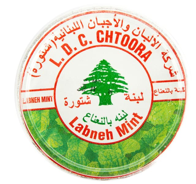 Chtoora Labneh With Mint 225 G