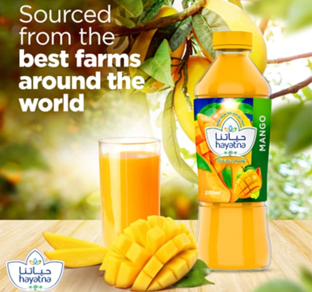 Hayatna 100 Pure Mango Nectar Juice 200 Ml