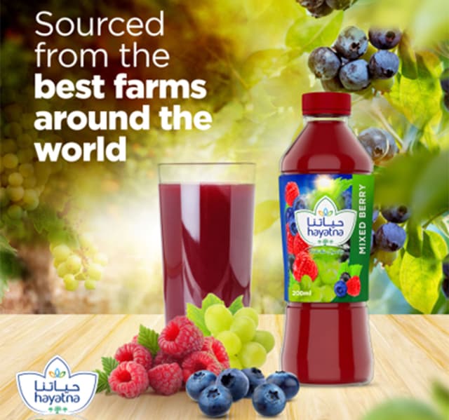 Hayatna 100 Pure Mix Berry Nectar Juice 200 Ml