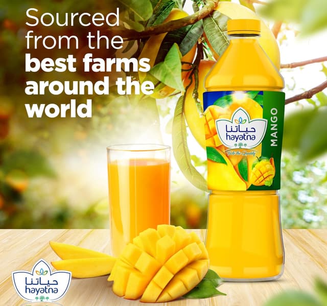 Hayatna Mango Juice 15 Litres