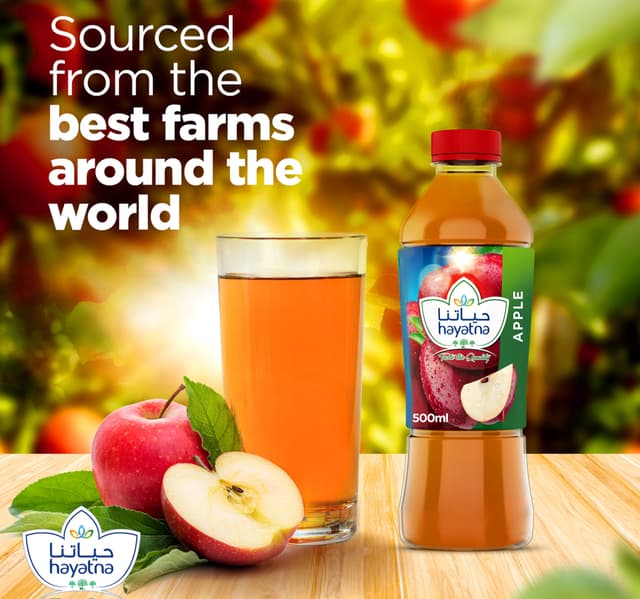 Hayatna No Added Sugar Apple Juice 500 Ml