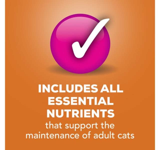 Purina Friskies Pate Wet Cat Food Poultry Platter 156 G